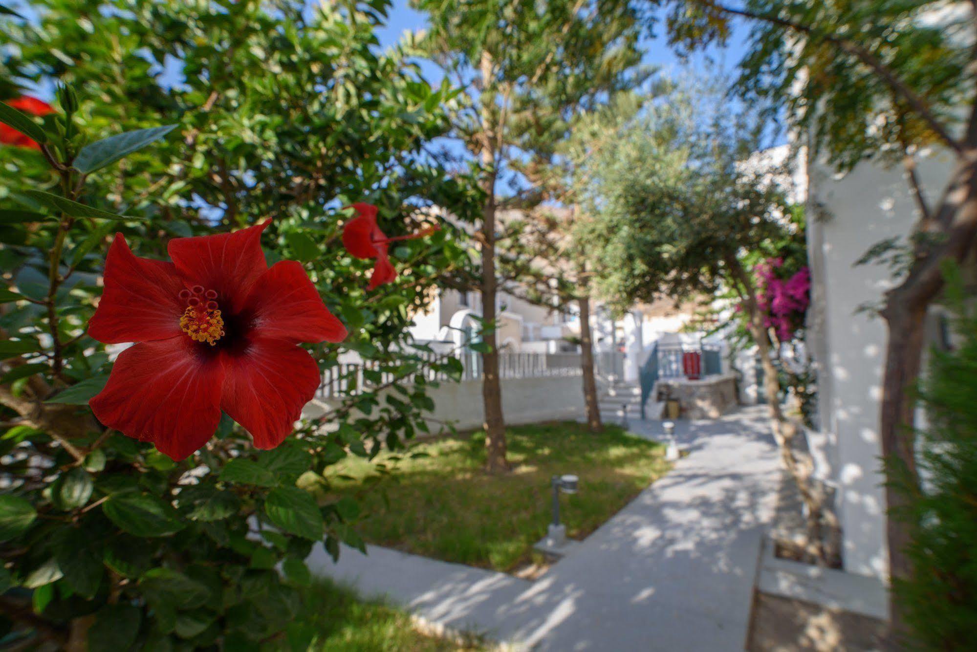 Iris Boutique Hotel Kamari  Ngoại thất bức ảnh